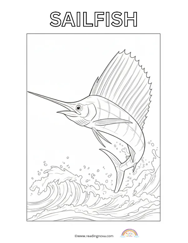Free colouring page: Sailfish