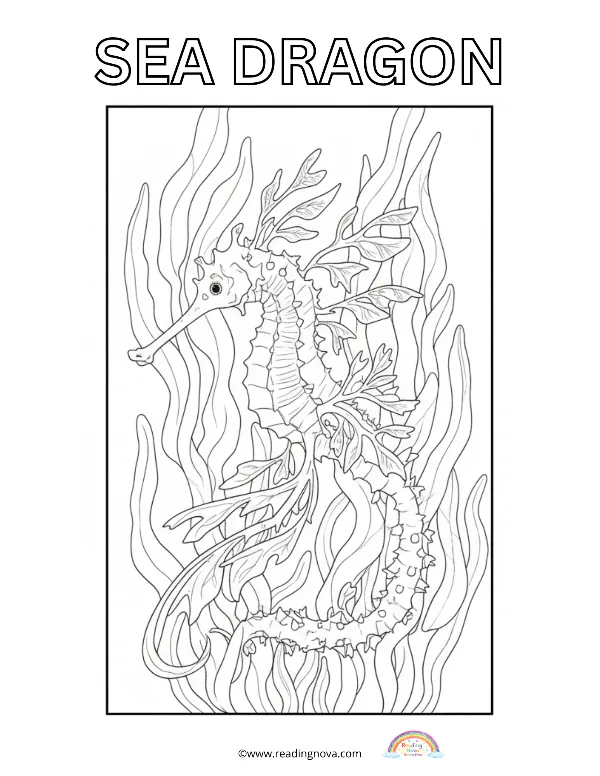 Free colouring page: Sea Dragon