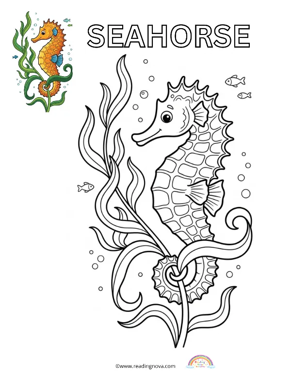 Free colouring page: Sea Horse