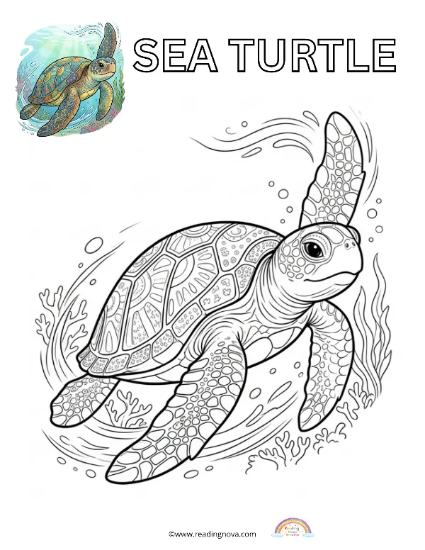 Free colouring page: Sea Turtle
