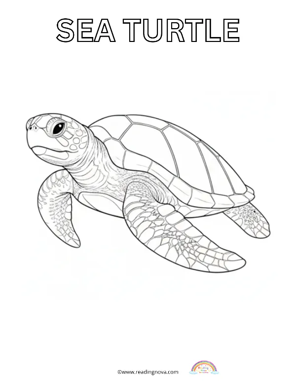 Free colouring page: Sea Turtle