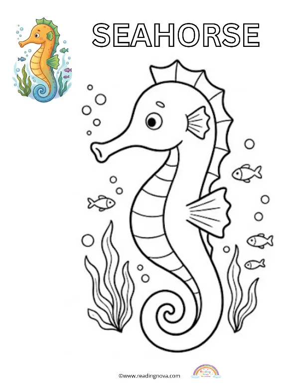 Free colouring page: Seahorse