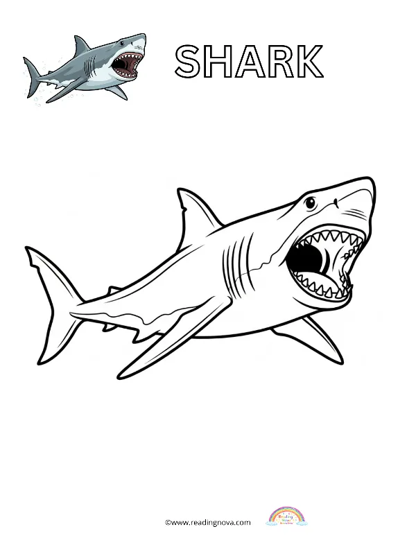 Free colouring page: Shark