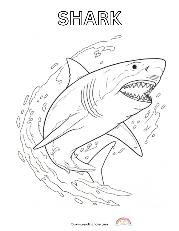 Free colouring page: Shark