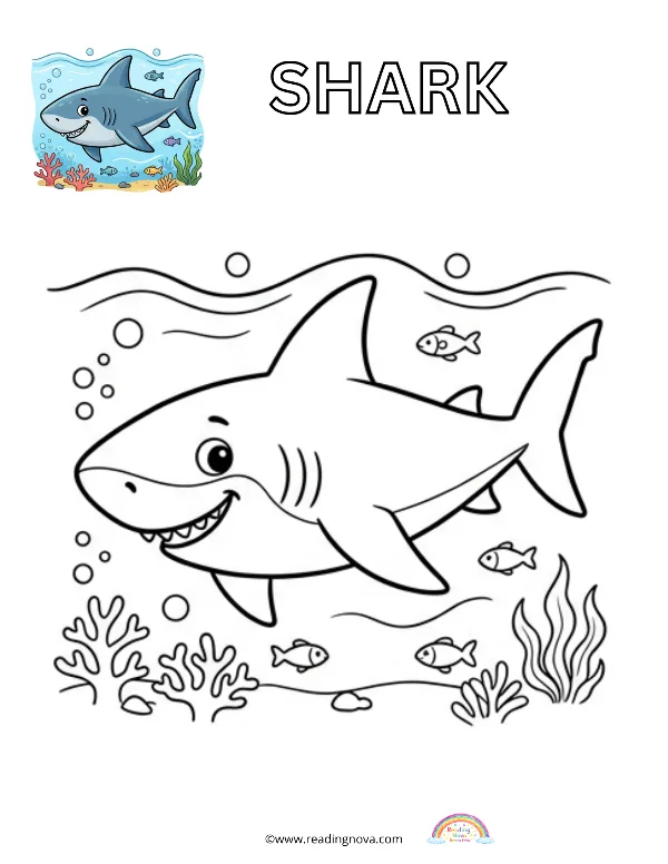 Free colouring page: Shark