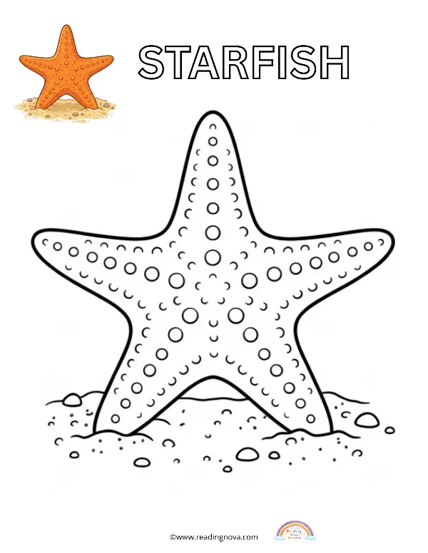 Free colouring page: Starfish