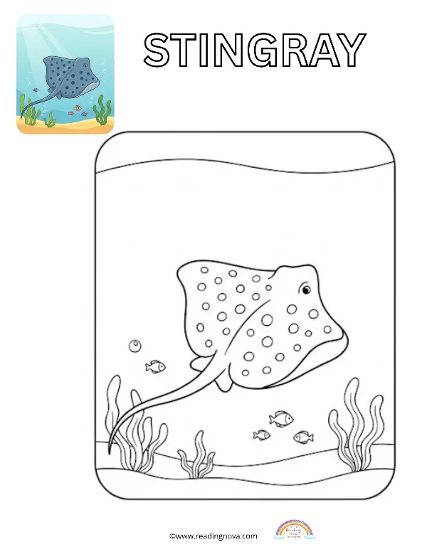 Free colouring page: Stingray