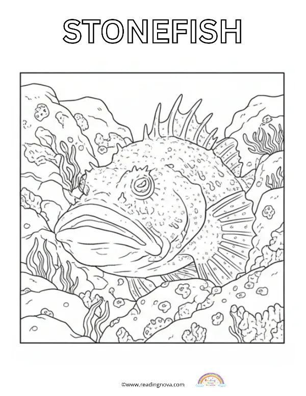 Free colouring page: Stonefish