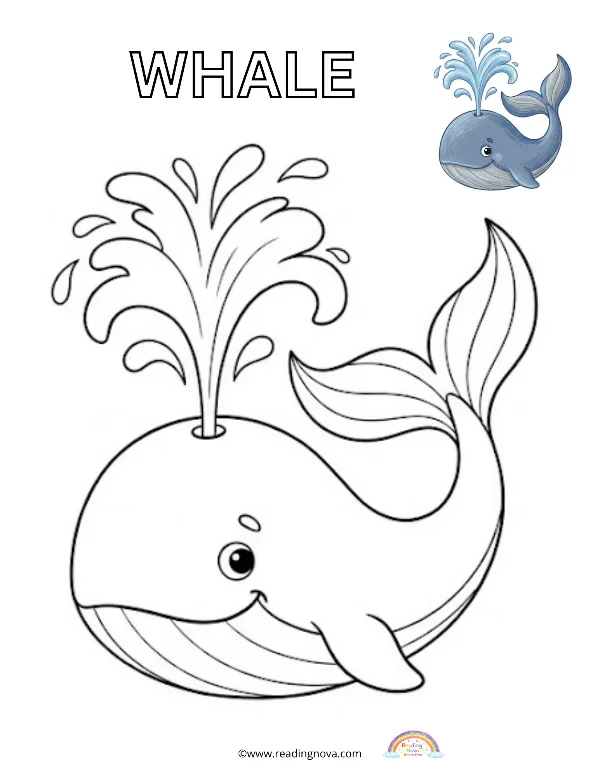 Free colouring page: Whale