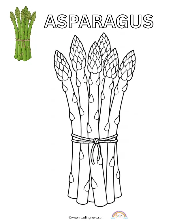 Free colouring page: Asparagus
