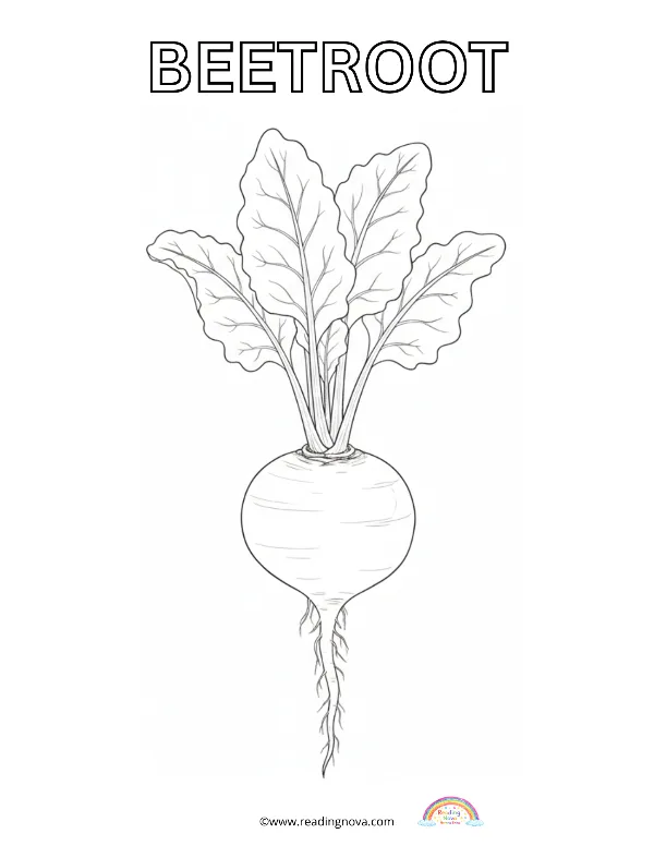 Free colouring page: Beetroot