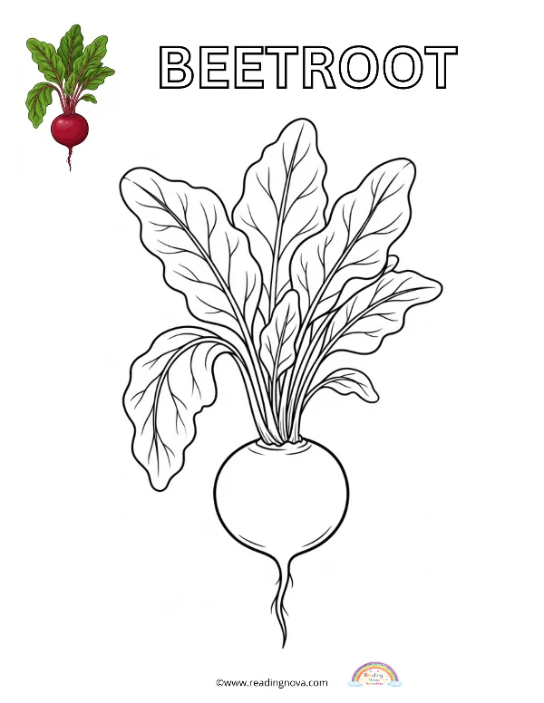 Free colouring page: Beetroot