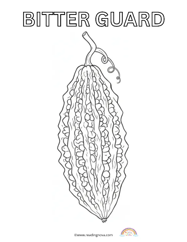 Free colouring page: Bitter Guard