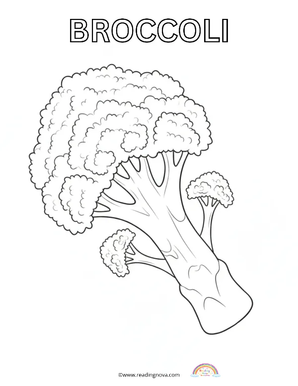 Free colouring page: Broccoli