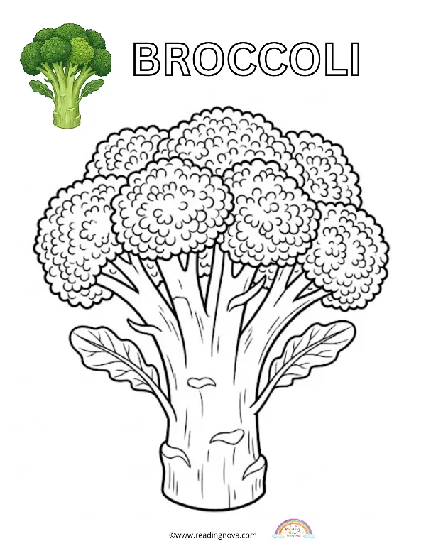 Free colouring page: Broccoli