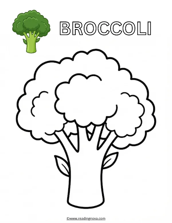 Free colouring page: Broccoli