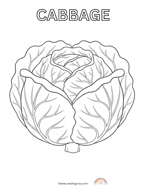 Free colouring page: Cabbage