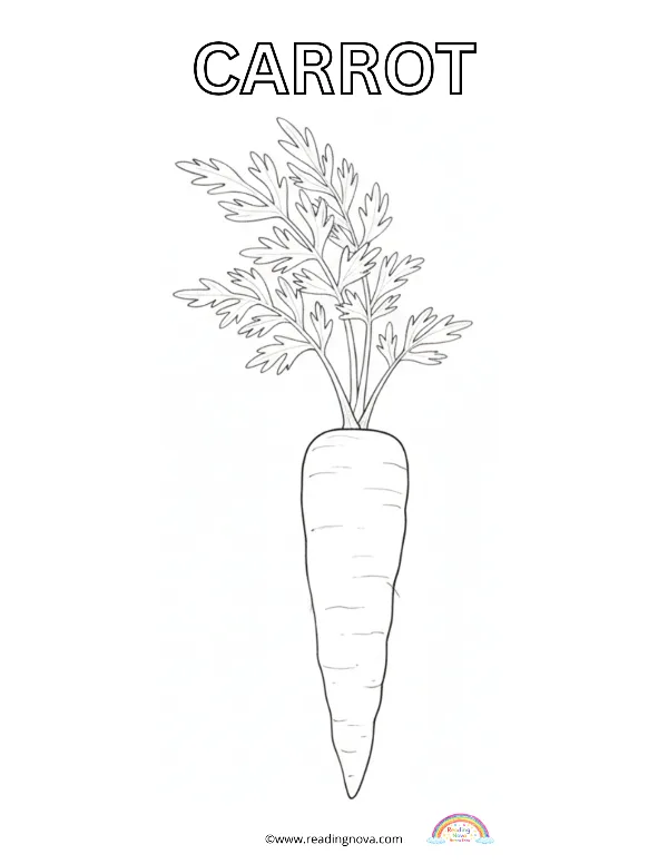 Free colouring page: Carrot