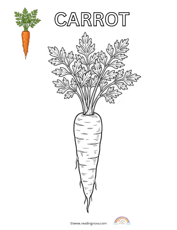 Free colouring page: Carrot