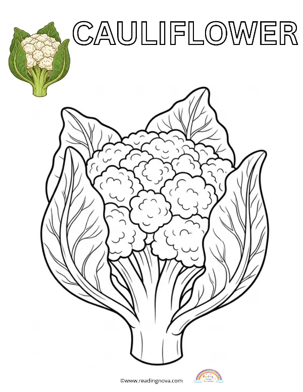 Free colouring page: Cauliflower