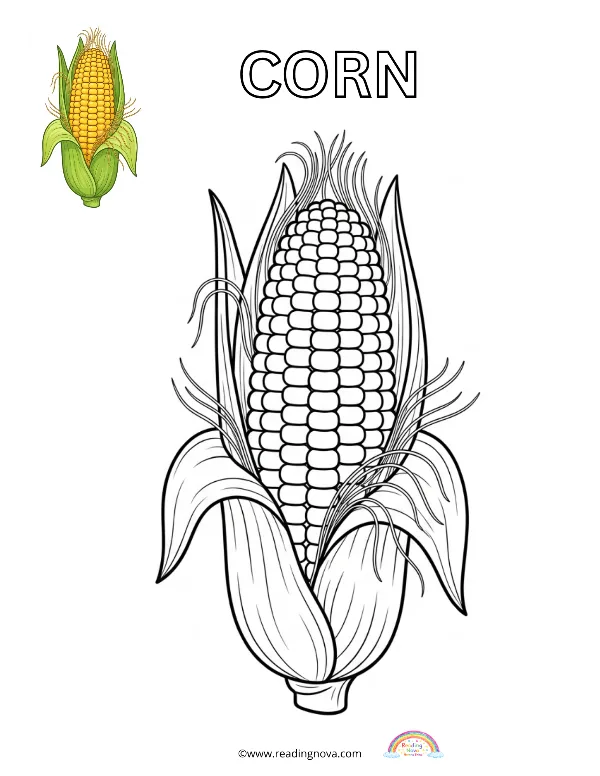 Free colouring page: Corn