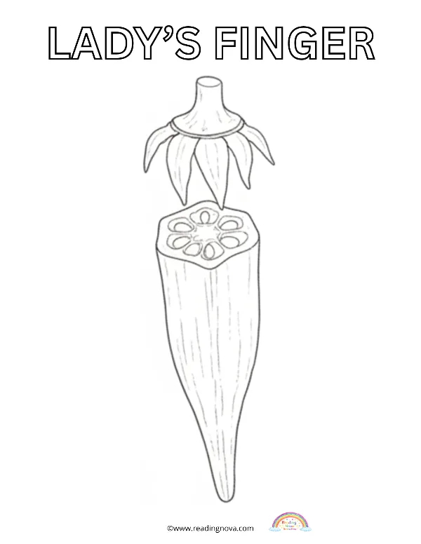 Free colouring page: Lady's Finger