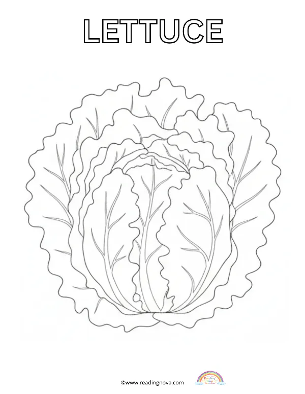 Free colouring page: Lettuce