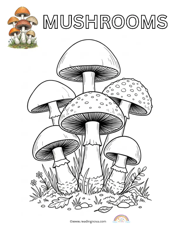Free colouring page: Mushrooms