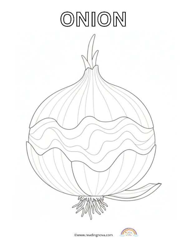 Free colouring page: Onion