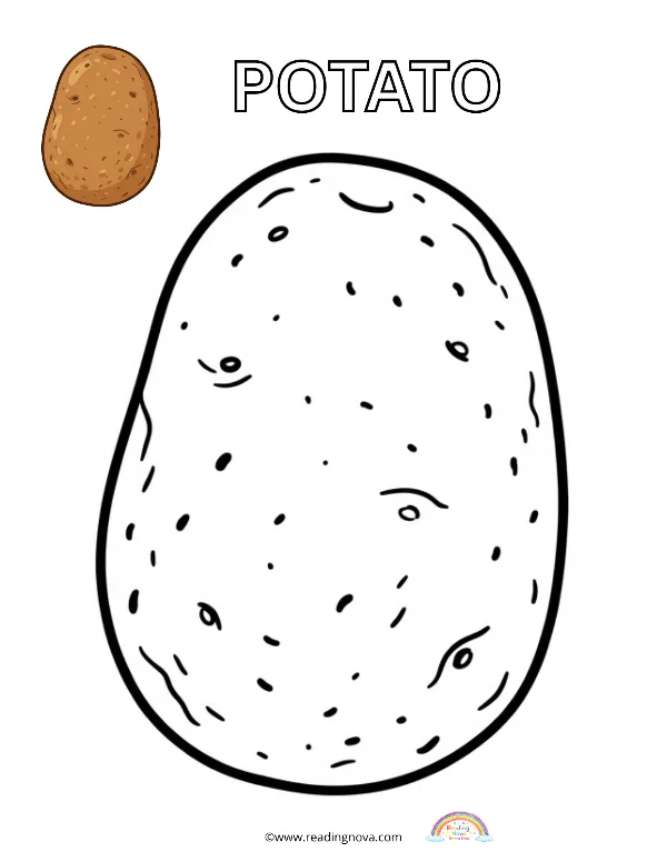 Free colouring page: Potato