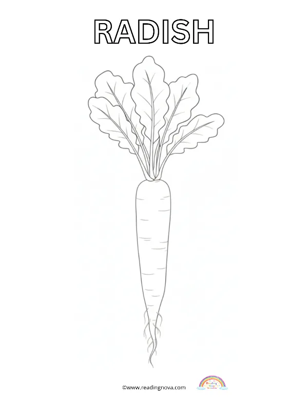 Free colouring page: Radish