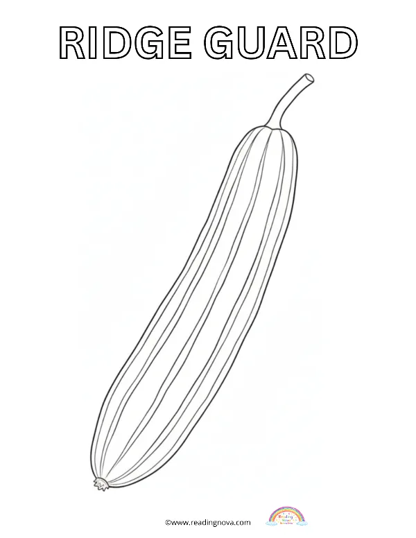 Free colouring page: Ridge Guard