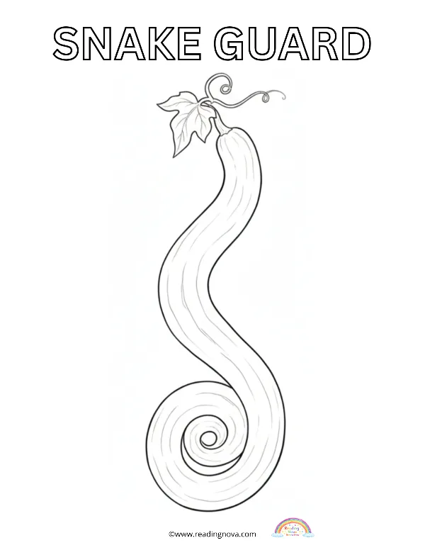 Free colouring page: Snake Guard