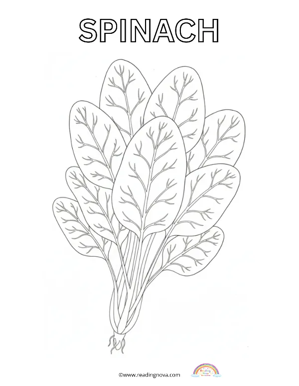 Free colouring page: Spinach