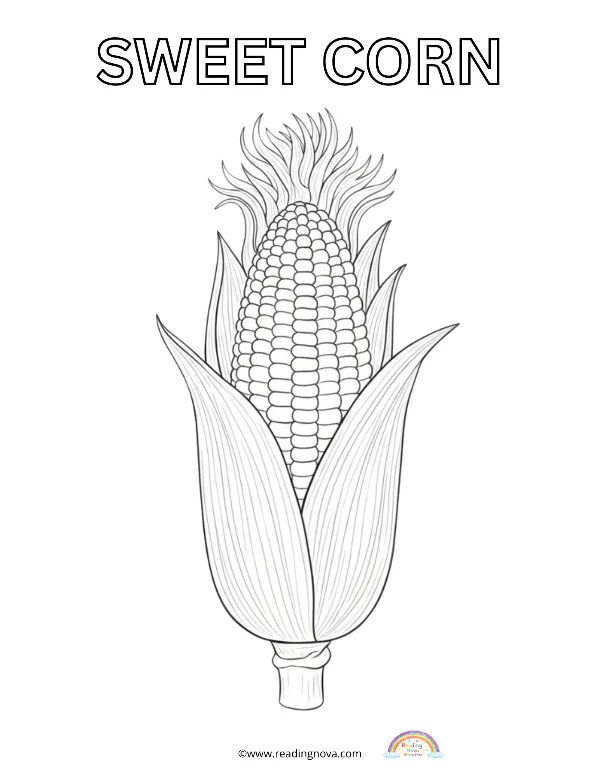 Free colouring page: Sweet Corn