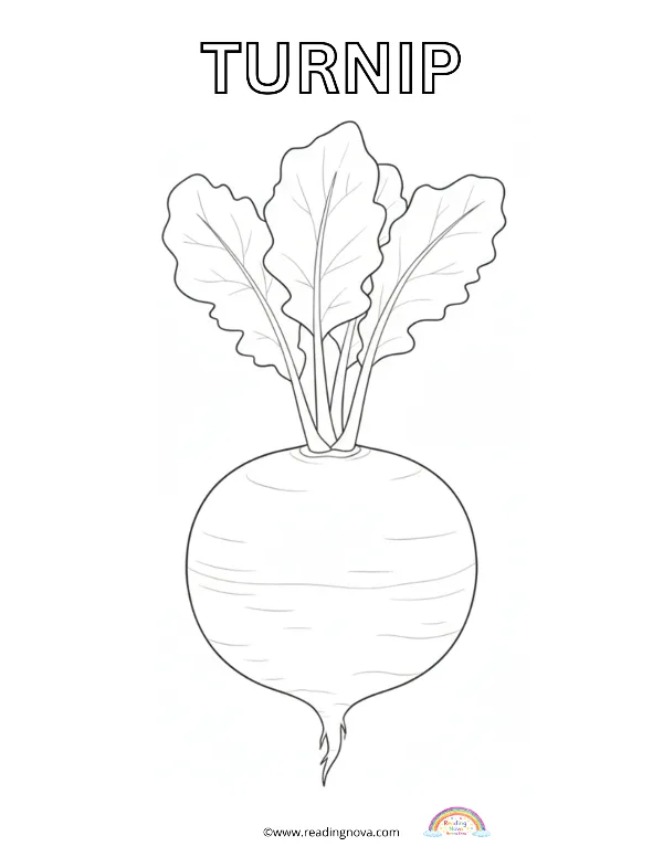 Free colouring page: Turnip