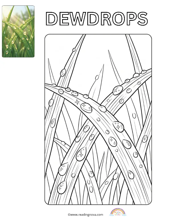 Free colouring page: Dewdrops