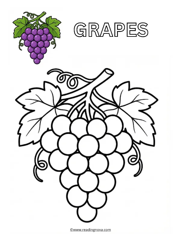 Free colouring page: Grapes