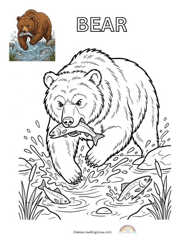 Free colouring page: Bear