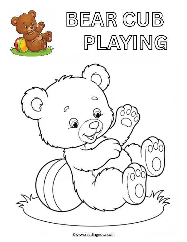 Free colouring page: Bear Cub