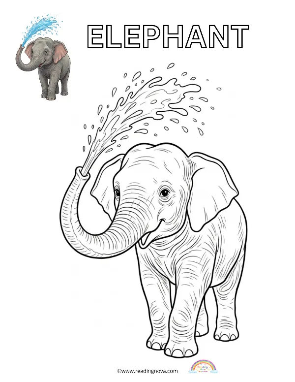Free colouring page: Elephant