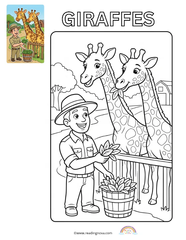Free colouring page: Giraffes