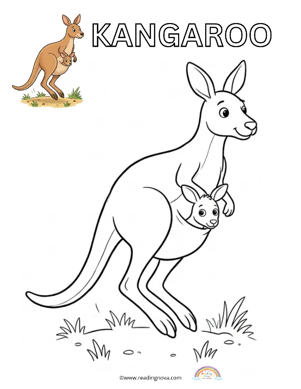 Free colouring page: kangaroo