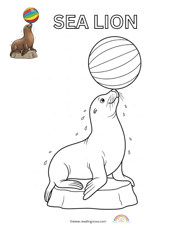 Free colouring page: Sea lion