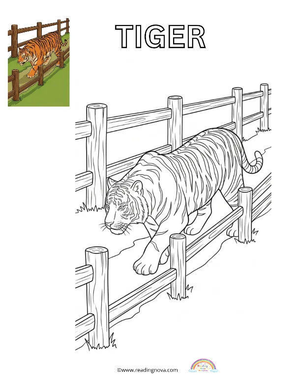 Free colouring page: Tiger