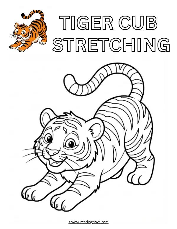Free colouring page: Tiger Cub