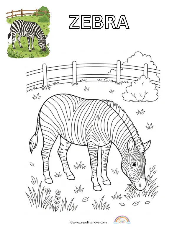 Free colouring page: Zebra