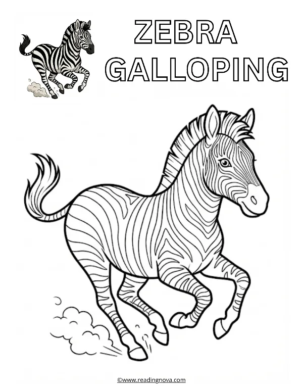 Free colouring page: Zebra