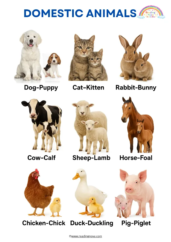 Free poster: Domestic Animals