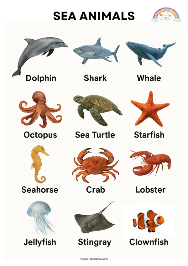Free poster: Sea Animals